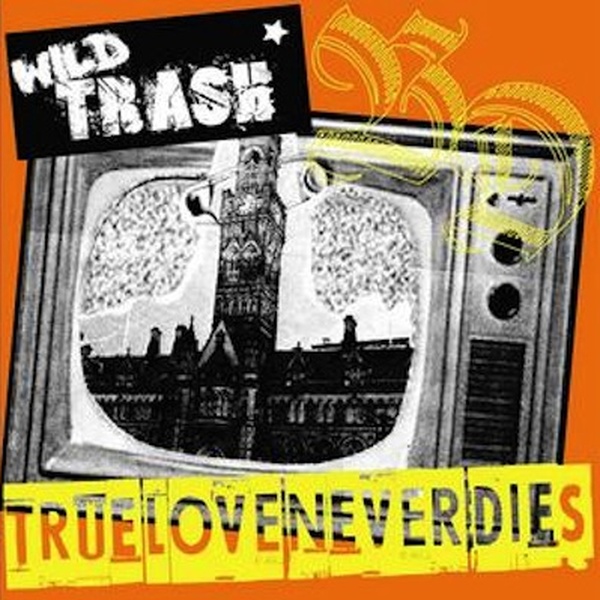 True Love Never Dies cover art