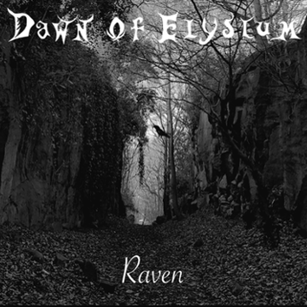 Raven cover art